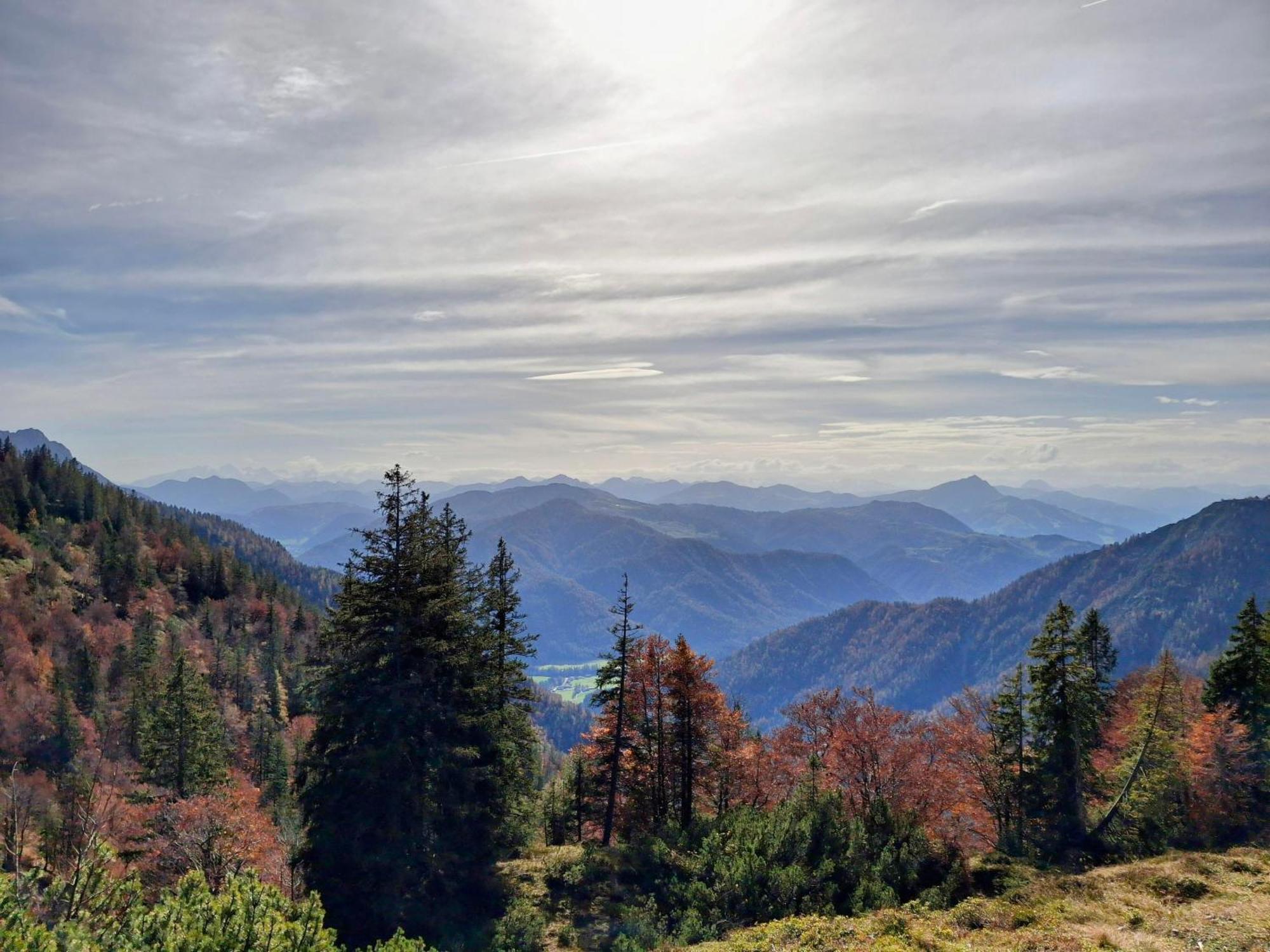 Lampererhof Villa St. Johann in Tirol Kültér fotó