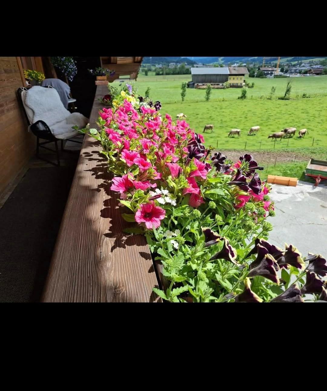 Lampererhof Villa St. Johann in Tirol Kültér fotó