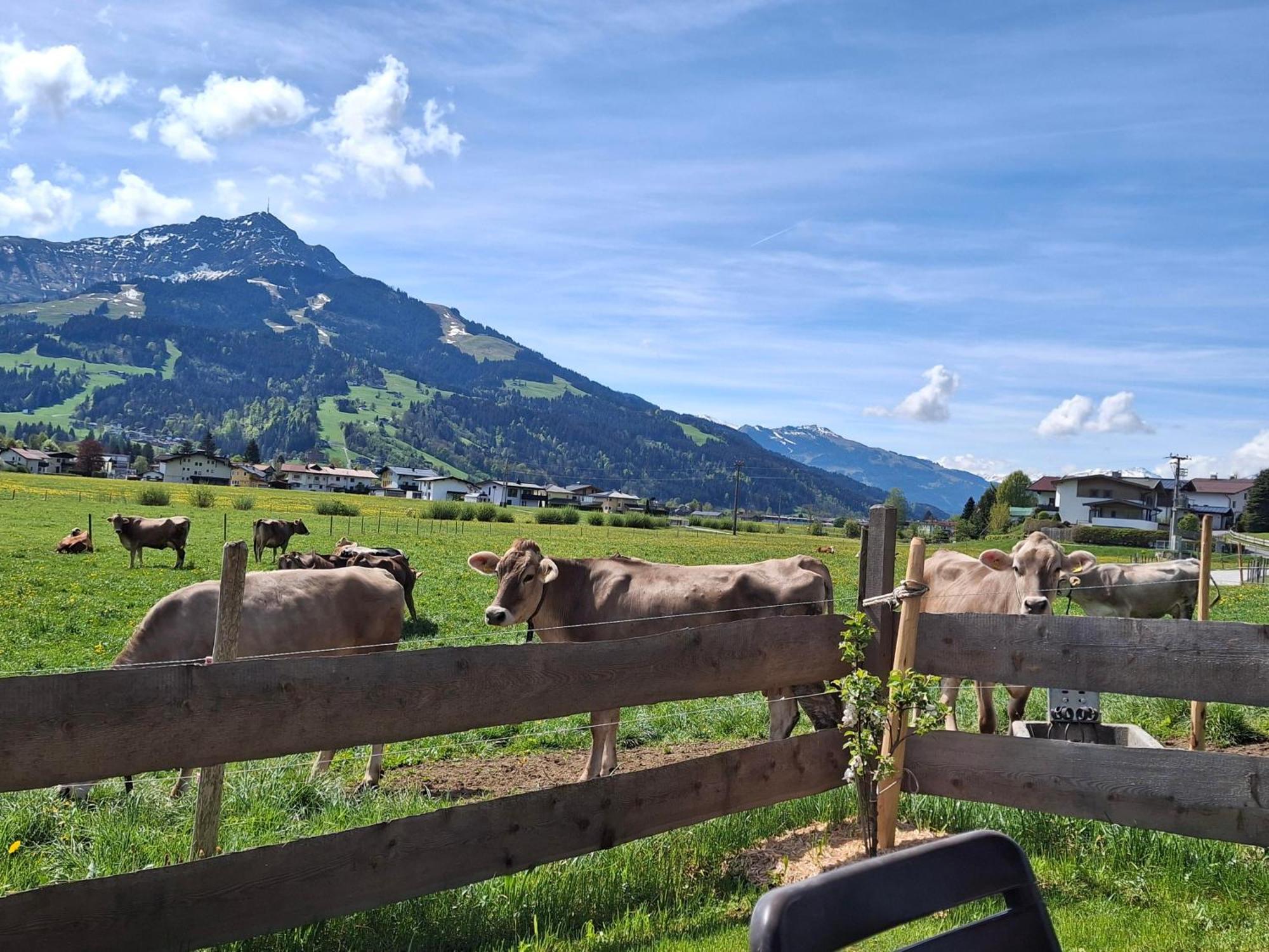 Lampererhof Villa St. Johann in Tirol Kültér fotó