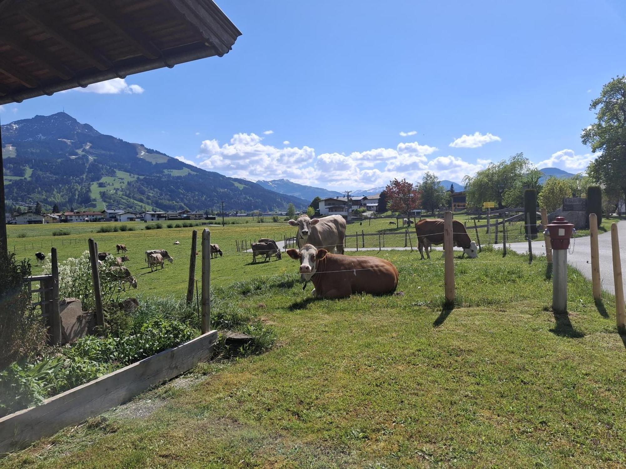 Lampererhof Villa St. Johann in Tirol Kültér fotó