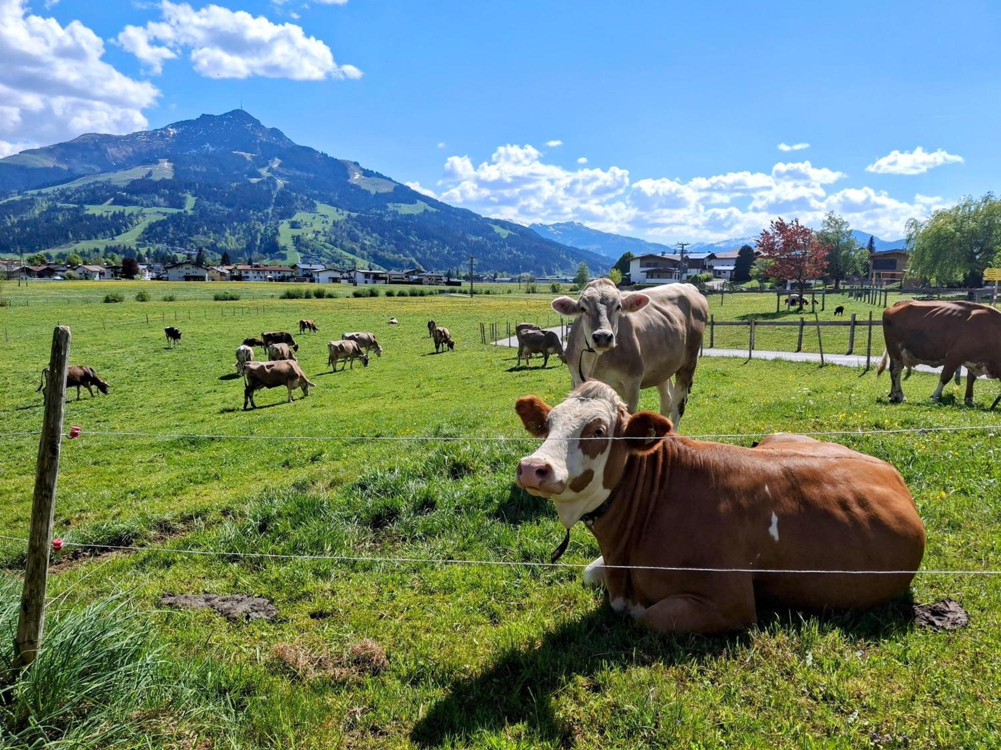 Lampererhof Villa St. Johann in Tirol Kültér fotó